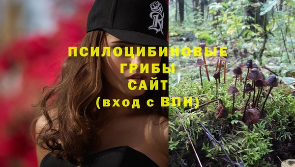 прущий лед Волосово